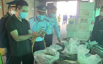 Hải Phòng: Phát hiện 7,5 tấn lòng lợn nhiễm dịch tả châu Phi