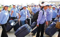 Người đi xuất khẩu lao động phải về nước trước hạn được hỗ trợ bao nhiêu tiền?