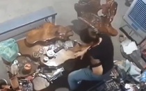 Bắt đối tượng đâm người phụ nữ ở Hưng Yên để cướp túi xách
