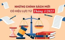 Những chính sách mới nổi bật có hiệu lực từ tháng 1/2023