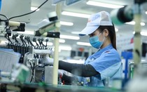 Yêu cầu Bộ Tài chính làm rõ 5 vấn đề cốt lõi về thuế tối thiểu toàn cầu