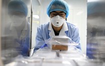 Chuyên gia Trung Quốc phát hiện virus corona đột biến và lây chéo trong một gia đình