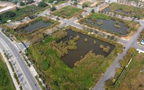 Thủ tướng chỉ đạo ngăn chặn hành vi lợi dụng đấu giá đất để trục lợi