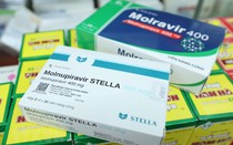 Năng lực sản xuất thuốc Molnupiravir của 3 đơn vị trong nước