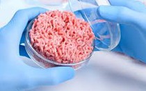 Singapore chính thức cấp phép bán thịt nhân tạo