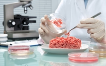 Hơn 100 triệu đồng để ăn thịt tôm nhân tạo