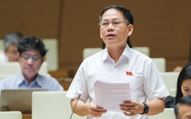 ĐBQH đề nghị phân cấp nhiều hơn cho cơ quan thanh tra cấp huyện