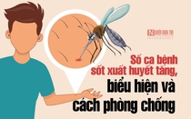 [Info] Số ca bệnh sốt xuất huyết tăng, biểu hiện và cách phòng chống