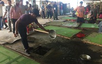 Hàng chục hộ dân nuôi cá lồng bè bao vây cơ sở chế biến thủy sản nghi gây ô nhiễm