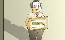 Cà Mau: Nhiều tiêu chí "độc đáo" trong xét tặng khen thưởng