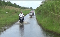 Cà Mau tăng cường giải pháp ứng phó với triều cường, mưa lũ