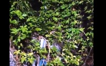 Cà Mau xác minh clip âm thanh đánh đập trẻ em
