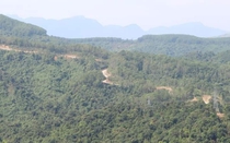 Xác minh thông tin thuỷ điện Rào Trăng 3 sạt lở vùi lấp nhiều người