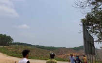 TT-Huế: Dự án trại bò chất lượng cao thất bại, tỉnh thu hồi 71ha đất