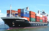 Cước vận tải biển tăng phi mã và bài toán tận dụng "cơ hội vàng"