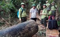 Đồng loạt 3 trạm trưởng kiểm lâm ở Quảng Nam bị đình chỉ công tác