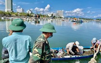 Đà Nẵng: Xử phạt trường hợp "mượn" giấy đi đường để ship gà, bắt hải sản