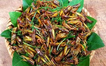 Người đàn ông nhập viện cấp cứu chỉ sau 30 phút ăn đặc sản này