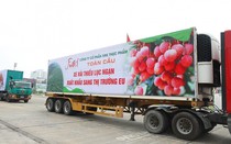 Thương mại điện tử: Tận dụng cơ hội đưa nông sản Việt vươn xa