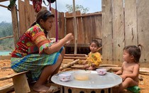 Hàng chục nghìn ngôi nhà hư hỏng, nhiều người thương vong do thiên tai tại các tỉnh miền núi phía Bắc