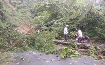 Mưa lớn khiến 64 ngôi nhà của người dân ở Hà Giang bị hư hại