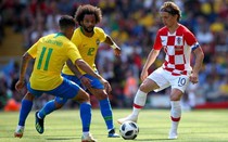 “Mèo tiên tri” và “thần rùa” dự đoán bất ngờ về trận Croatia và Brazil