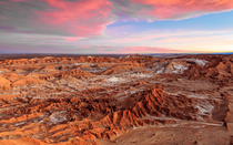 DNA bí ẩn của các sinh vật “khoa học chưa biết” được tìm thấy ở sa mạc