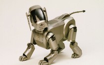 Sony Aibo, chú chó robot sẽ trở lại với tính năng trợ lý ảo