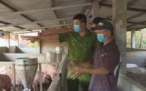 Xử lý một trang trại chăn nuôi heo xả thải ra môi trường