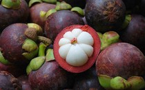 Muốn chọn măng cụt ngon, không bị sượng cần nhớ kỹ 5 mẹo này