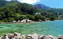 Hòn đảo chôn giấu kho báu bí ẩn hơn 120 triệu USD, ai cũng thèm muốn