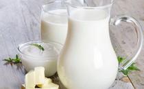 Người mắc sốt xuất huyết có được uống sữa?