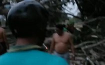 Bản tin 3/12: Cây đổ trong cơn dông khiến 2 bà cháu thiệt mạng; Bé trai 5 tuổi tím tái rồi tử vong ở trường mẫu giáo