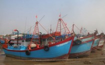Tiền Giang: Phát triển nghề cá bền vững gắn với phòng chống IUU