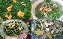 Loại rau quê rẻ bèo không ngờ được người Nhật coi là "rau trường thọ"