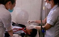 11 học sinh lớp 6 phải nhập viện cấp cứu sau khi ăn quả ngô đồng