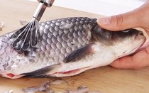Vụ 10 người ngộ độc do ăn cá chép muối ủ chua: Botulinum độc cỡ nào?