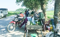 Nghệ An: Dưa hấu đầu mùa được giá, nông dân phấn khởi thu hoạch