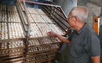 Lão nông thu tiền tỷ nhờ nuôi loài vật xưa chỉ dành cho vua chúa