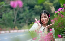 Du xuân trên tuyến đường đẹp nhất Hải Phòng tại đảo Cát Bà