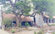 Hải Phòng: Di tích quốc gia bị xâm hại khi tu bổ, tôn tạo