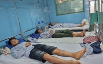 Mẹ nấu thịt cóc, ba bố con ăn bị ngộ độc phải cấp cứu