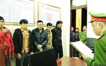 Quảng Bình: Tạm giam 5 đối tượng trộm hơn 40 tấn cây keo trong đêm