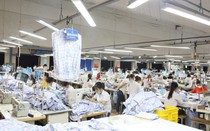 Lao đao ngành “giải quyết việc làm nhiều nhất” trong lĩnh vực công nghiệp tại Quảng Bình