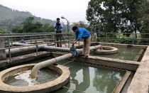 Nghệ An: Dân hoang mang vì nước sạch nhưng không... sạch