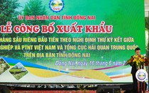 Đồng Nai dự kiến xuất 20 ngàn tấn sầu riêng sang Trung Quốc