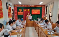 Bình Thuận: Kỷ luật, khai trừ đảng viên sai phạm nhiều lĩnh vực