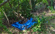 Bình Thuận: Phát hiện thi thể người trong rẫy hoang trên đảo Phú Quý