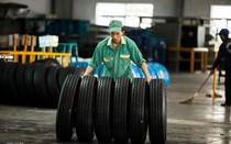 Doanh thu 6 tháng đầu năm của Cao su Đà Nẵng đạt hơn 2.500 tỷ đồng