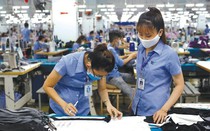 Hệ thống giáo dục nghề nghiệp nên do Bộ nào quản lý?